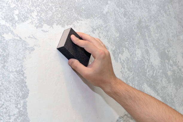 Professional Mold Removal in Washington, DC