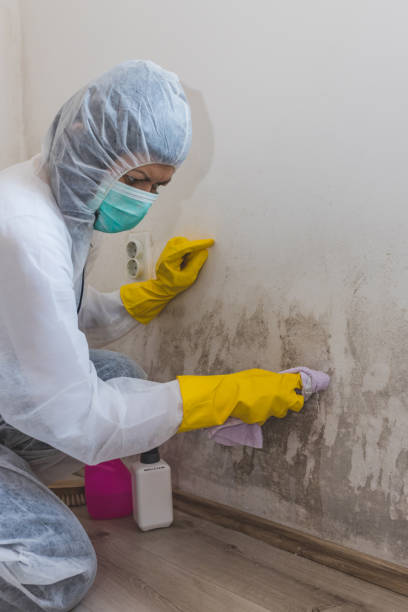 Best Post-Remediation Verification Testing  in Washington, DC
