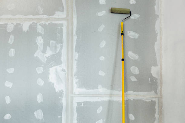 Best Crawl Space Mold Remediation  in Washington, DC