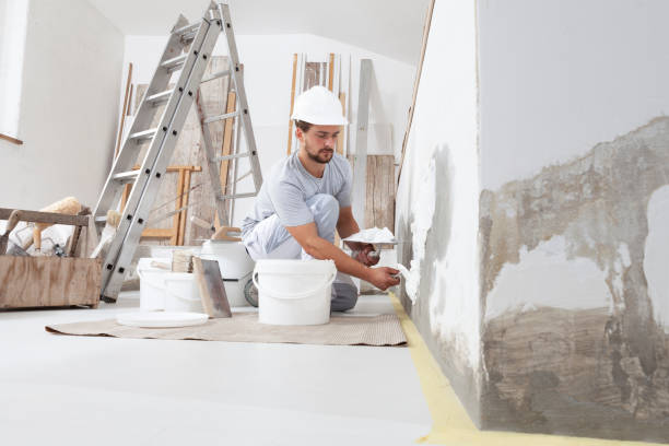 Best Environmental Consulting for Mold Prevention  in Washington, DC