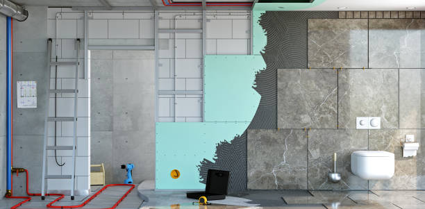 Best Black Mold Removal  in Washington, DC