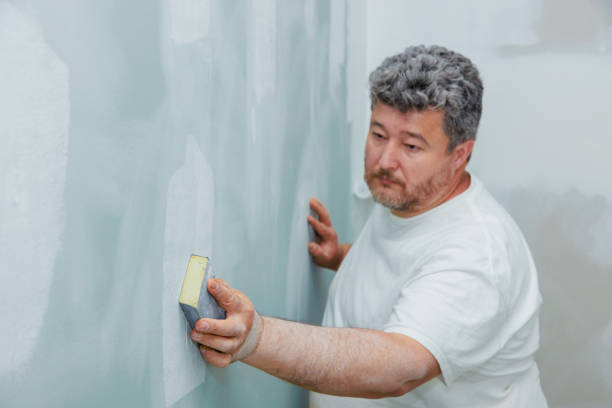 Best Mold Damage Restoration  in Washington, DC