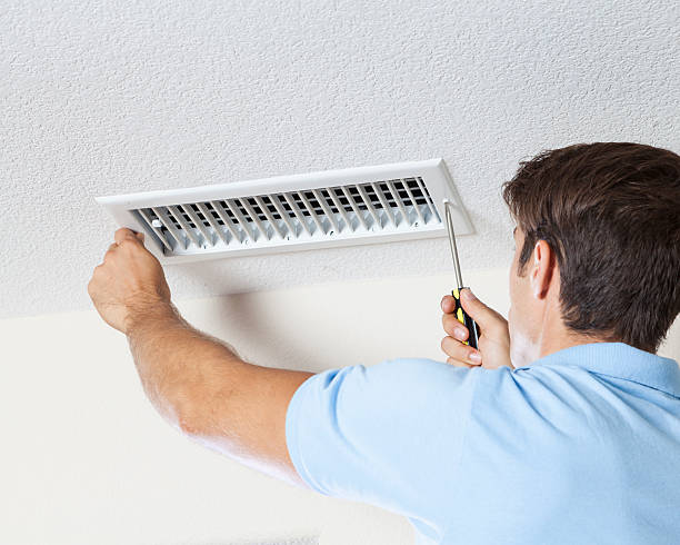 Best Real Estate Mold Inspection  in Washington, DC
