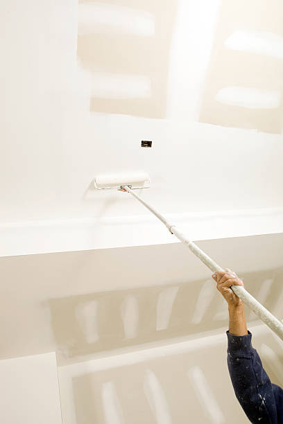 Mold Remediation for Vacation Homes in Washington, DC