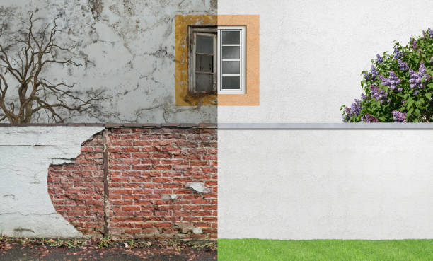 Best Emergency Mold Remediation  in Washington, DC