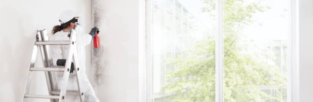 Best Indoor Air Quality Assessment  in Washington, DC