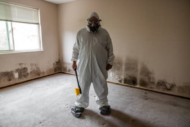 Best Mold Remediation for Vacation Homes  in Washington, DC