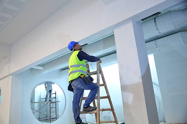 Best Comprehensive Air Testing for Mold Contaminants  in Washington, DC