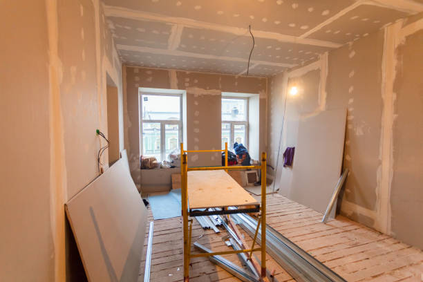 Best Mold Removal for HVAC Installations  in Washington, DC